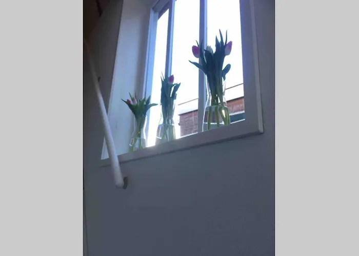 Appartement Bij San&ka *